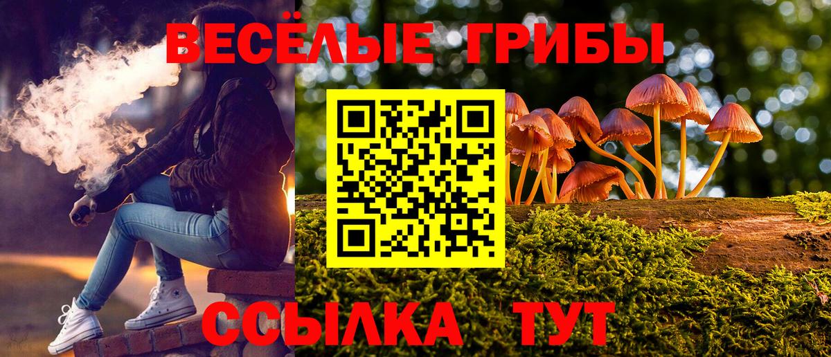 Псилоцибиновые грибы ЛСД Новокубанск