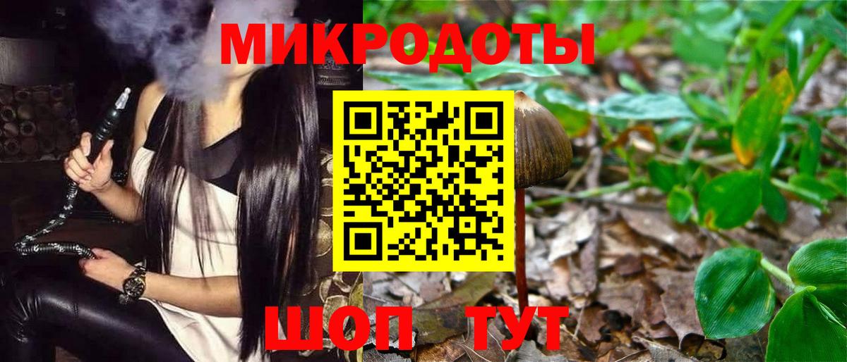 Новокубанск  Псилоцибиновые грибы прущие грибы  Вход с VPN 